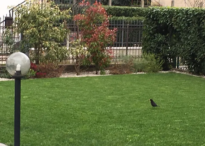 Francesco Peschiera del Garda